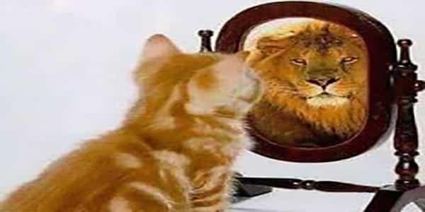 سليلُ الهزبر